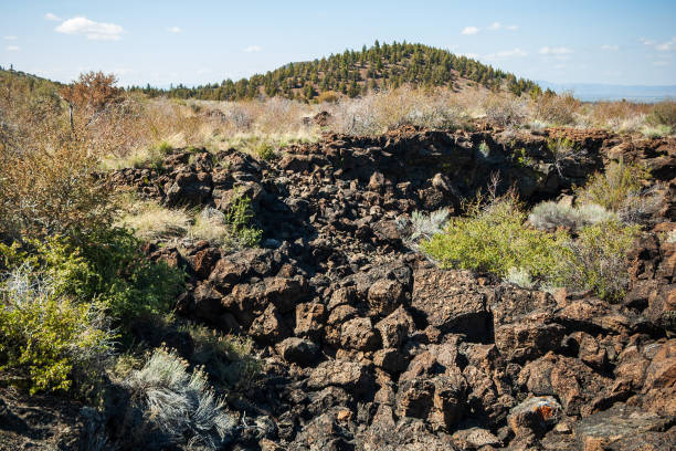 istock Rocky Field at Lava Beds National Monument 2200779056