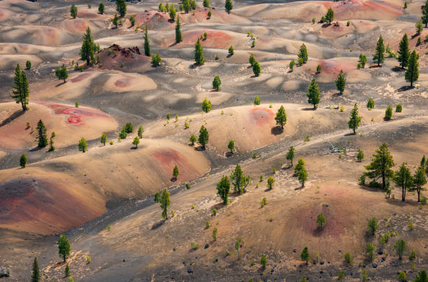 istock Overlook from the Volcanic Cone at Lassen Volcanic National Park 2200780445