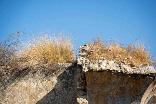 Abandoned Arb neighborhood, Wadi Salib