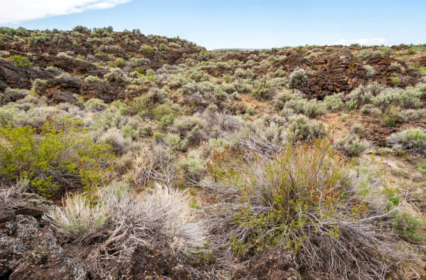 istock Rugged Rocky Trail at Lava Beds National Monument 2200785050