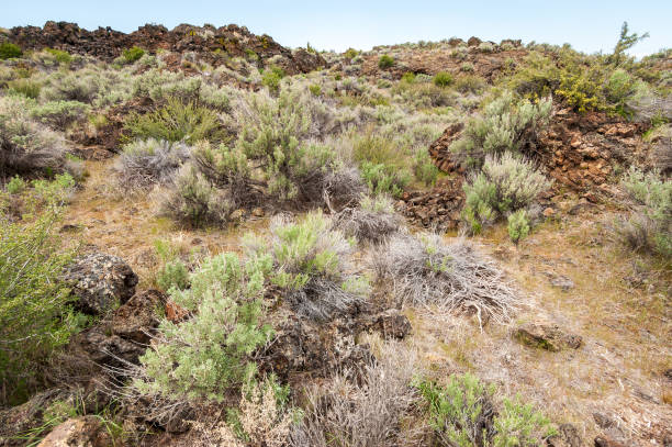 istock Rugged Rocky Trail at Lava Beds National Monument 2200785118