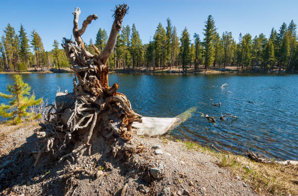 Lassen Volcanic National Park in California