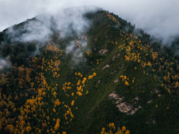 Free picture: mountain, ridge, forest, tree, sky, altitude, cloud, daylight