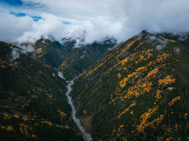 istock Aerial view of pine tree forest mountain landscape 2200786864
