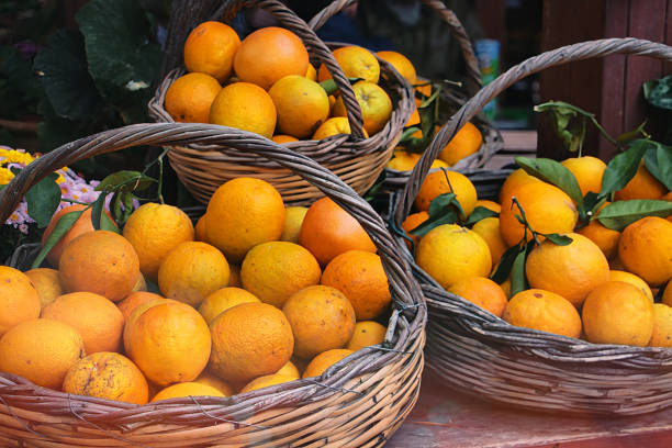 Ripe oranges and green leaves in a basket. Southern harvest