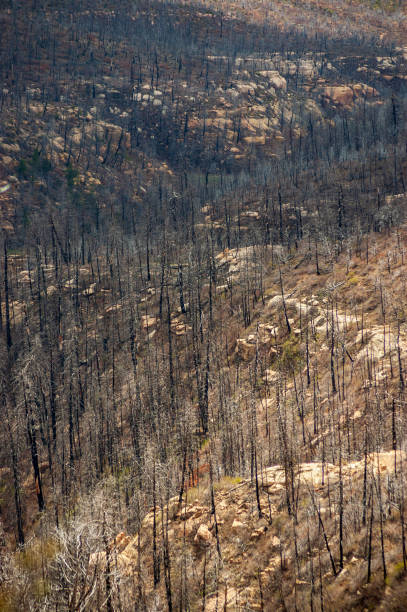 istock Forest Fire Overlook of Damage at Mesa Verde National Park 2200790210