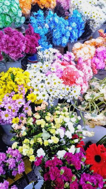 istock Colorful Fresh spring flowers in flower shop 2200793617