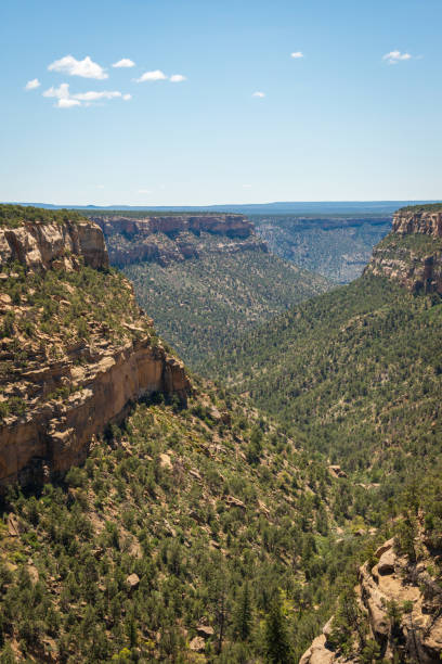 istock Overlook at Mesa Verde National Park 2200793779