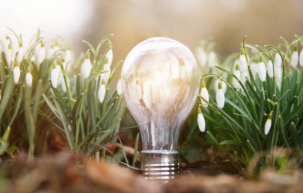 World earth hour, light bulb stands on a meadow with snowdrop flowers, turn off lights, save energy, protect nature and planet earth, environment and ecology