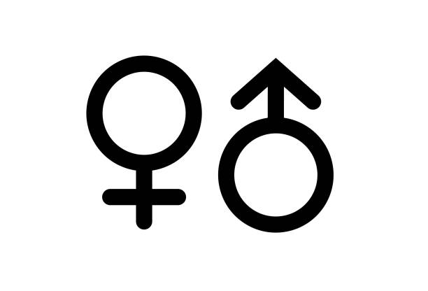 ilustraciones, imágenes clip art, dibujos animados e iconos de stock de iconos de macho y hembra - género humano