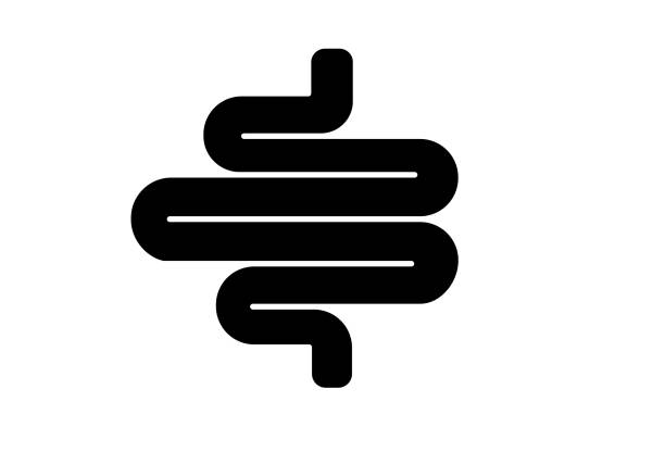 Intestine Icon Intestine Icon intestine stock illustrations