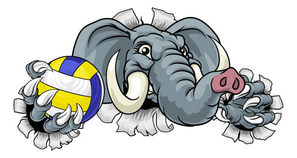 Elephant Volleyball Volley Ball Animal Mascot An elephant volleyball animal sports mascot holding a volley ball in his claw republican elephant logo stock illustrations