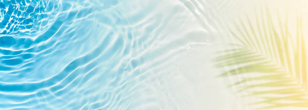 istock abstract sand beach with blue transparent water wave and palm leaf shadow on sunny tropiacl background banner, beautiful nature scene with copy space for travel, vacation and beauty spa, top view 2200799672