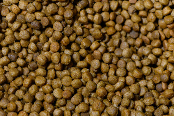 Brown pet food kibbles densely cover a flat surface, awaiting feed preparation for beloved animals.
