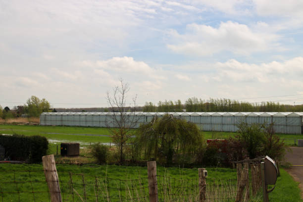 istock Nieuwerkerk Noord area which is waiting for development in the future 2200803801