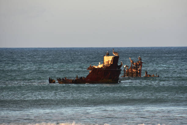 istock Rusted Remains of a Boat in Shallow Waters 2200806853
