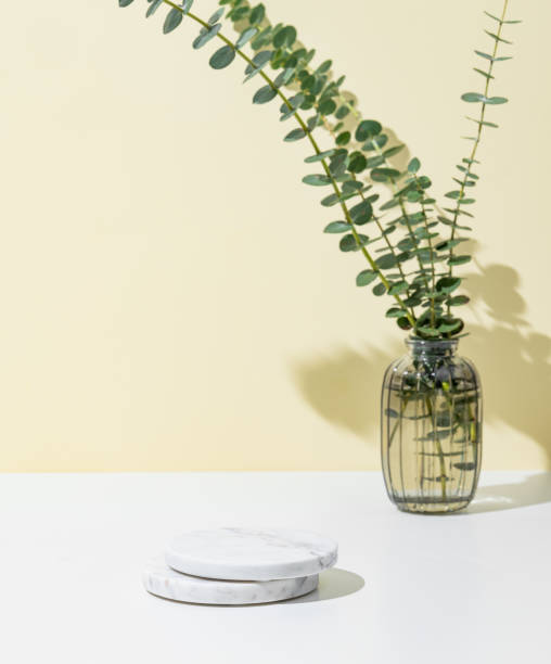 istock Vase with eucalyptus branches on yellow background with marble stands for product display or advertising. 2200808502