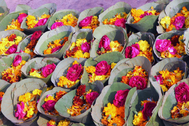 istock flowers for offering to God. 2200811725