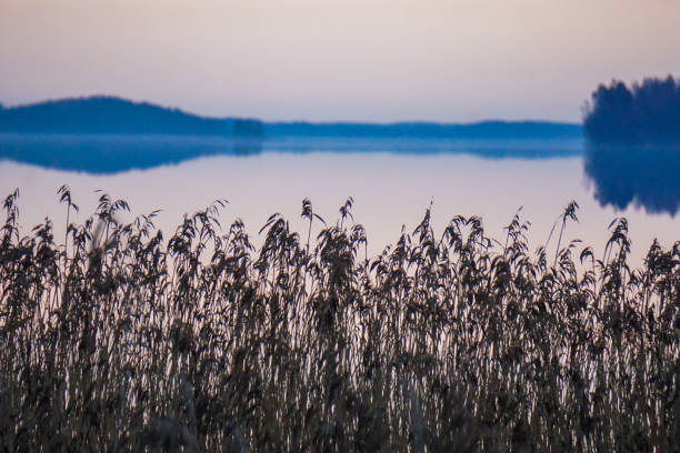 Scenic view of a lake during winter