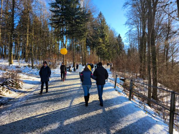 Several people on the way to the Uetliberg hill above Zurich. Captured during winter season.