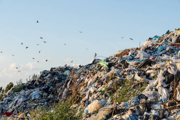 istock Rubbish piles tower under the sun, while birds soar overhead, illustrating the clash between nature and human waste in a city landscape 2200817156