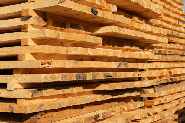 istock Sunlight bathes freshly cut lumber, stacked neatly in a lumberyard, creating a rustic and warm atmosphere that evokes craftsmanship 2200817219