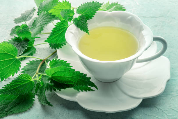 istock Nettle tea. Medicinal herbal tea with Urtica leaves. Fresh wild herb 2200817978