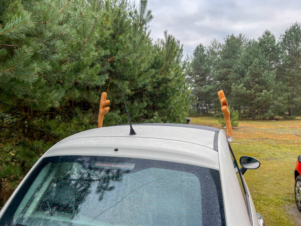 Reindeer antler decorations mounted on cars during Christmas.