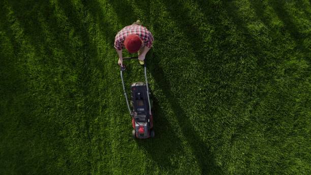 istock Professional worker with lawn mower mows the grass, top view. Copy space 2200824715