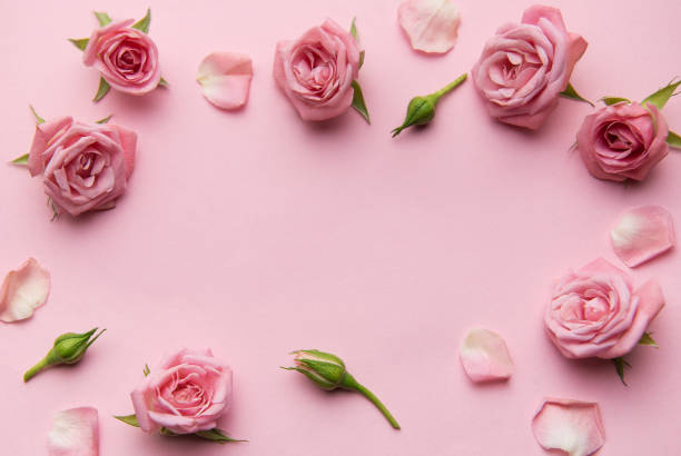 istock Pink roses and petals creating a frame on pink background 2200831533