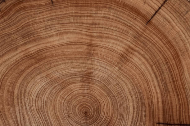 istock Empty color of brown surface on nature pattern desk board. 2200831985