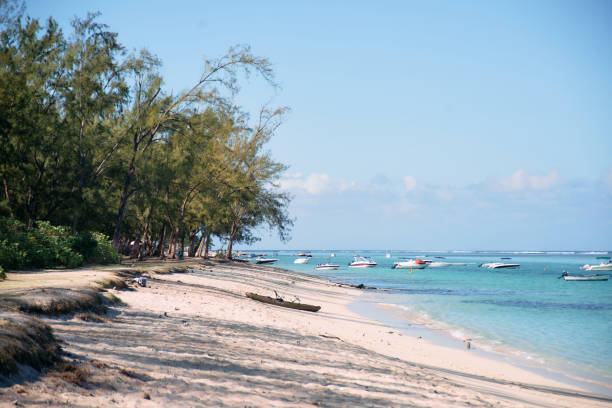 istock Idyllic beach close to Le Morne Brabant mountain, showcasing pristine sands and clear blue waters in Mauritius 2200833585