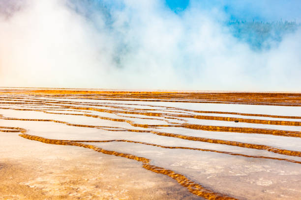 National Park Yellowstone in Wyoming and Montana, USA