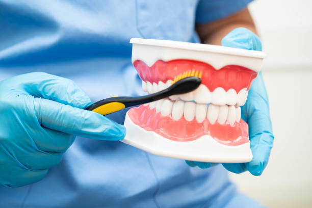 istock Doctor clean teeth denture with toothbrush for teach patient and dentist studying about dentistry. 2200843276
