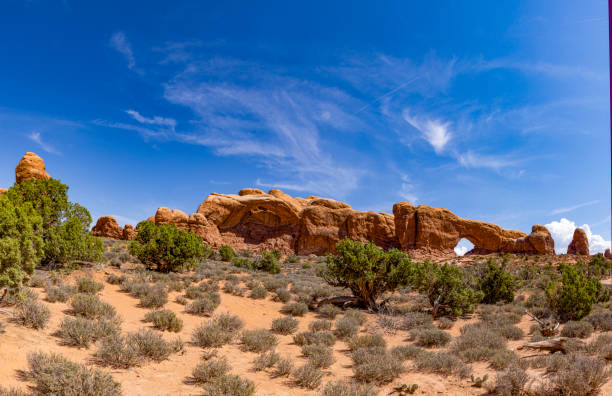 Tômbua (Porto Alexandre), Namibe Province, Angola: Colinas Canyon, a sandstone canyon on the Curoca river estuary - rock formations sculpted by water and wind erosion - 'Colinas do Curoca', aka Valley of the spirits an iconic place with a beauty that impresses with its grandeur.