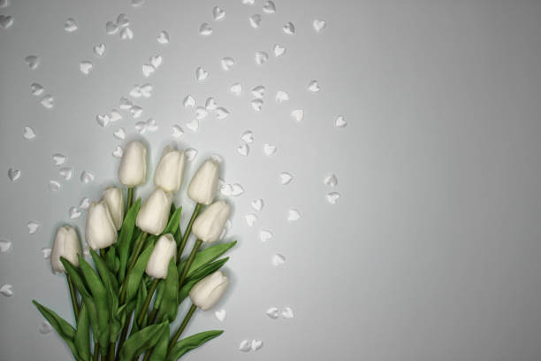 Violet Tulips Placed Together