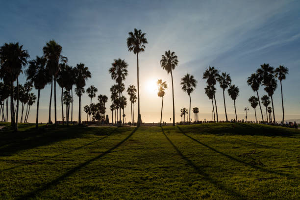 istock A mesmerizing view of Venice Beach at sunset 2200852313