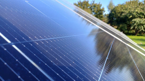 istock Close-up of solar panels surrounded by nature 2200859657