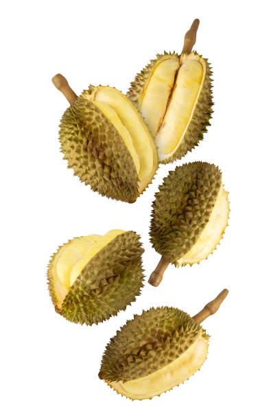 istock Falling Durian isolated on white background with clipping path, full depth of field 2200862044