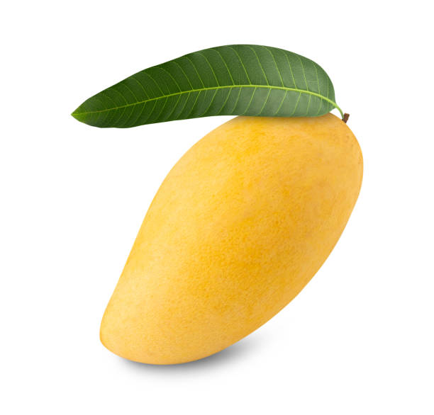 istock Yellow Mango with leaf isolated on white background with clipping path, full depth of field 2200862164