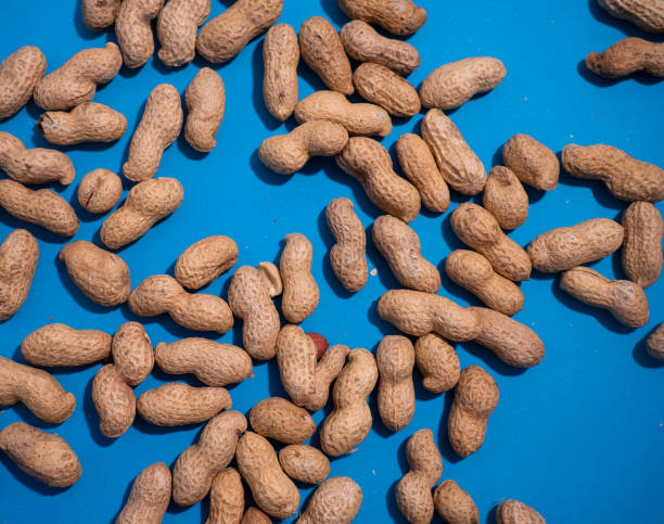 istock top view of raw peanuts in shell on blue background. 2200866733