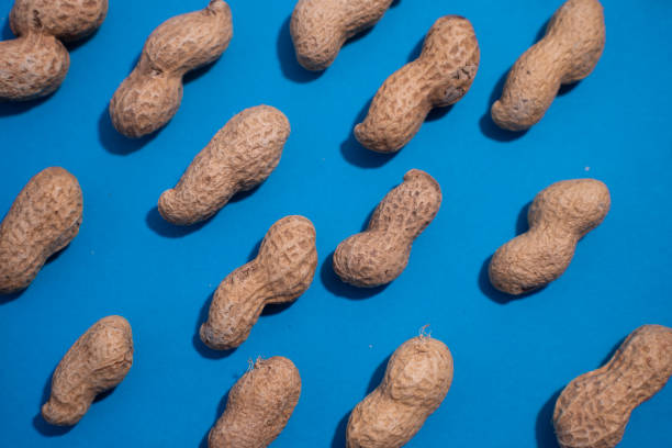 istock Top view of fresh peanuts in shells forming seamless pattern on blue background. 2200866957