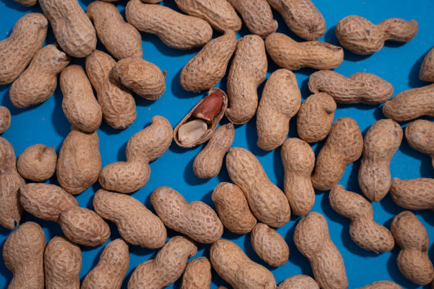 istock top view of raw peanuts in shell on blue background. 2200866975