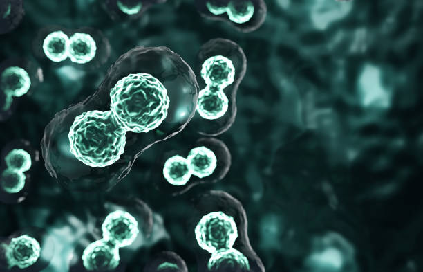 istock Research of stem cells. Cells under a microscope. Cellular Therapy 2200867539
