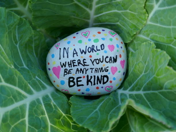 istock Be kind kindness rock inside cabbage plant in garden close-up 2200869709