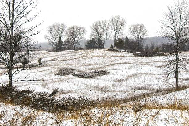 Rolling Snow Covered Kohler Dunes