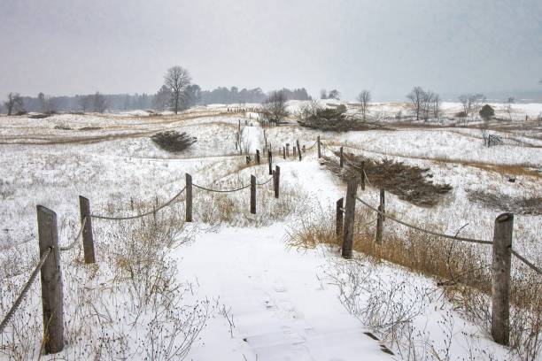 Snowy Trail Through Kohler Dunes