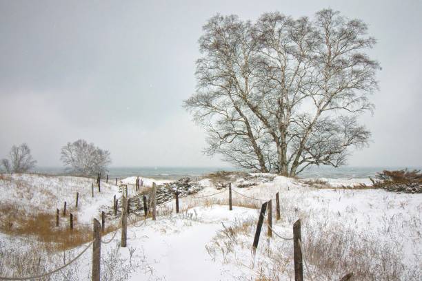 istock Snowy Kohler Dunes Trail Toward Lake 2200874709
