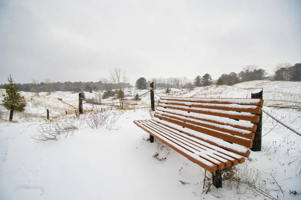 Snow Covered Bench at Kohler Dunes