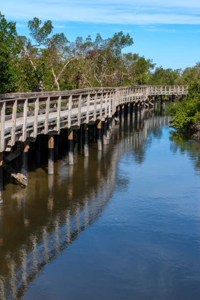 istock Boardwalk in Robinson Preserve in Bradenton , Florida. 2200879556